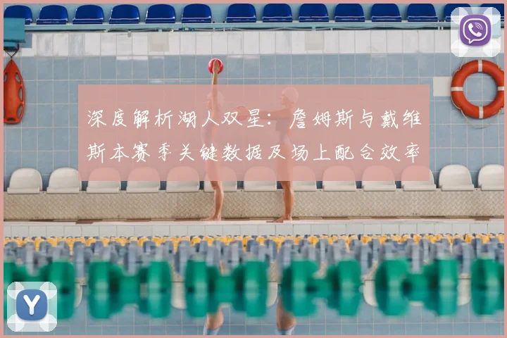 深度解析湖人双星:詹姆斯与戴维斯本赛季关键数据及场上配合效率
